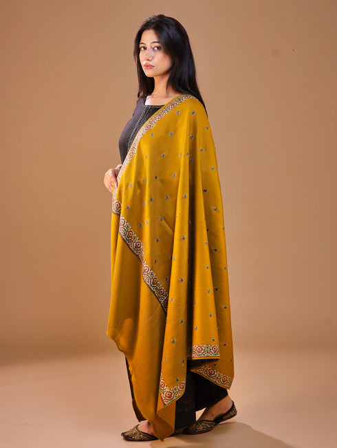 Women's Pure Wool Faux Pashmina Hand Embroidery Shawl